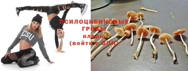 таблы Богородск