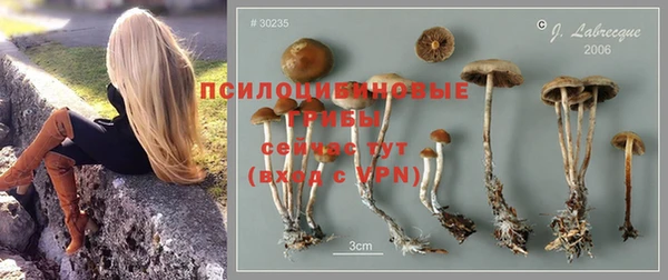 герыч Богородицк