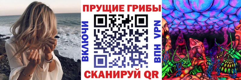 Псилоцибиновые грибы Psilocybine cubensis  магазин продажи наркотиков  Мезень 